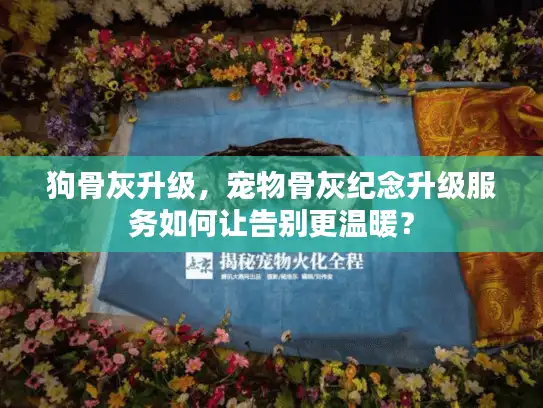 狗骨灰升级，宠物骨灰纪念升级服务如何让告别更温暖？
