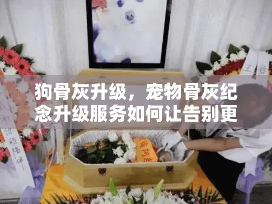 狗骨灰升级，宠物骨灰纪念升级服务如何让告别更温暖？
