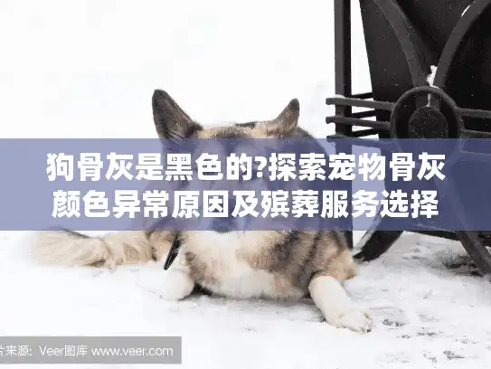 狗骨灰是黑色的?探索宠物骨灰颜色异常原因及殡葬服务选择