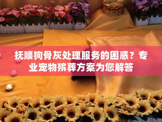 抚顺狗骨灰处理服务的困惑？专业宠物殡葬方案为您解答