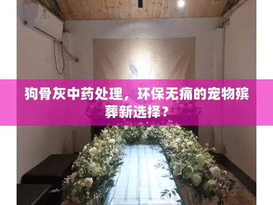 狗骨灰中药处理，环保无痛的宠物殡葬新选择？