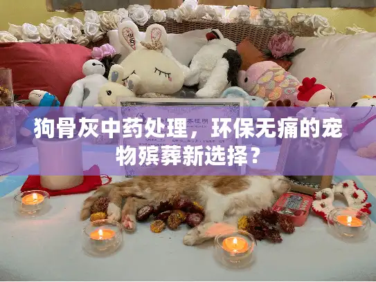 狗骨灰中药处理，环保无痛的宠物殡葬新选择？