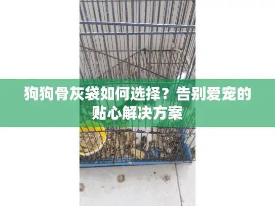 狗狗骨灰袋如何选择？告别爱宠的贴心解决方案