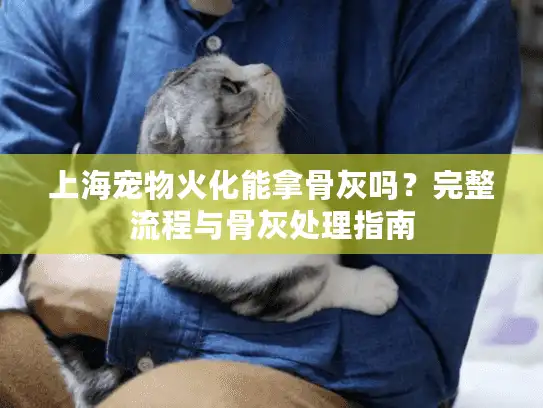 上海宠物火化能拿骨灰吗？完整流程与骨灰处理指南