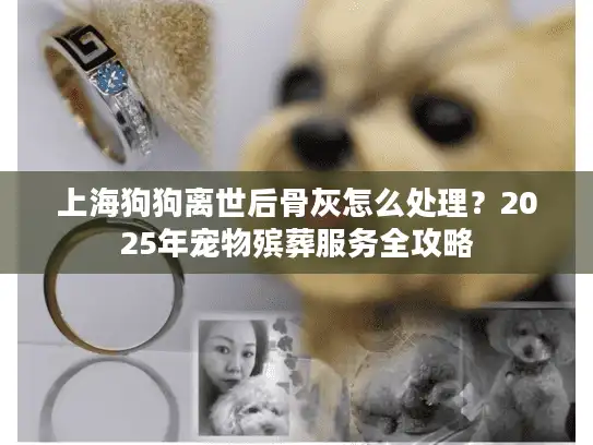 上海狗狗离世后骨灰怎么处理？2025年宠物殡葬服务全攻略