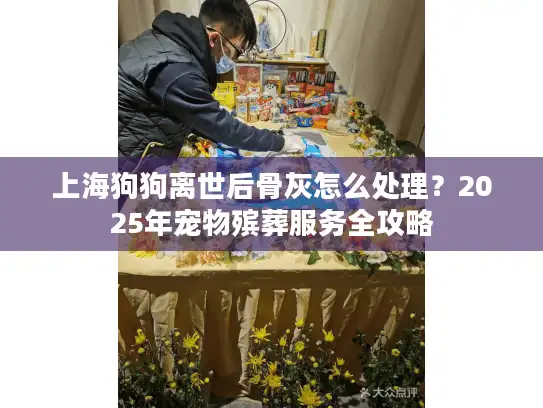 上海狗狗离世后骨灰怎么处理？2025年宠物殡葬服务全攻略