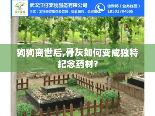 狗狗离世后,骨灰如何变成独特纪念药材?