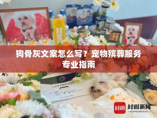 狗骨灰文案怎么写？宠物殡葬服务专业指南