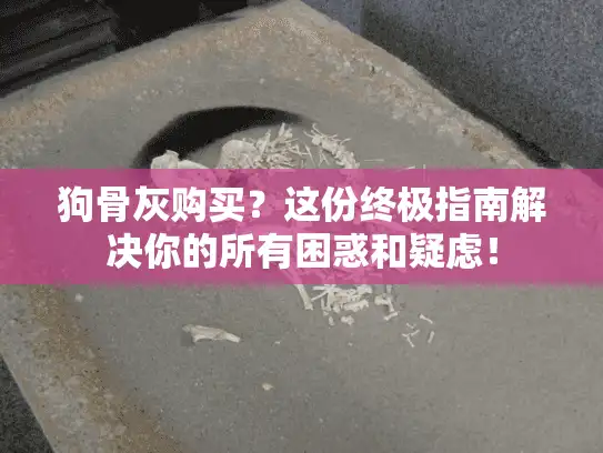 狗骨灰购买？这份终极指南解决你的所有困惑和疑虑！