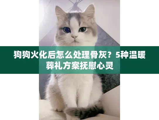 狗狗火化后怎么处理骨灰？5种温暖葬礼方案抚慰心灵