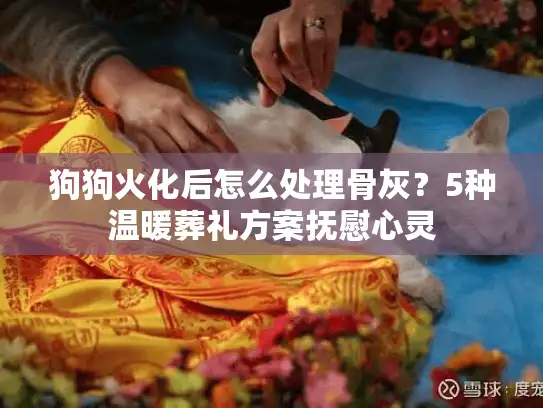 狗狗火化后怎么处理骨灰？5种温暖葬礼方案抚慰心灵