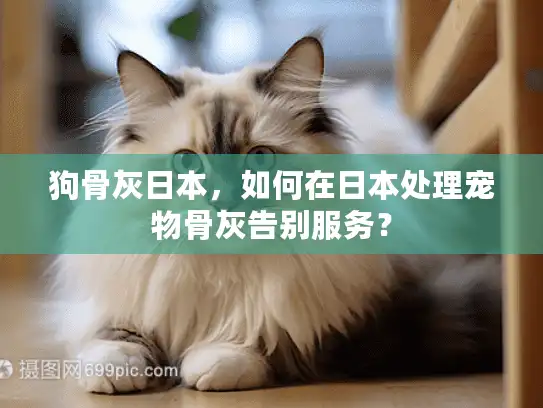 狗骨灰日本，如何在日本处理宠物骨灰告别服务？