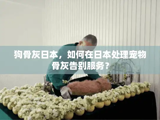 狗骨灰日本，如何在日本处理宠物骨灰告别服务？