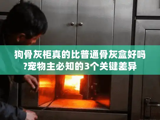 狗骨灰柜真的比普通骨灰盒好吗?宠物主必知的3个关键差异