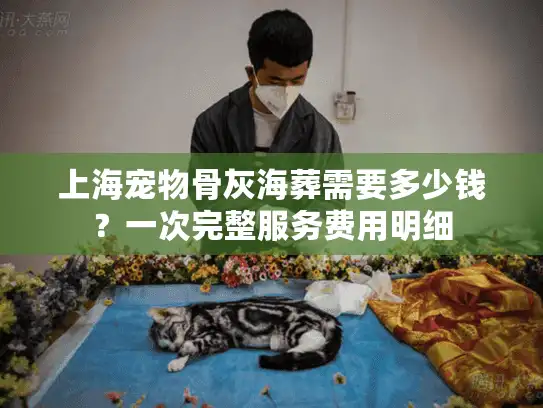 上海宠物骨灰海葬需要多少钱？一次完整服务费用明细