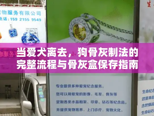 当爱犬离去，狗骨灰制法的完整流程与骨灰盒保存指南