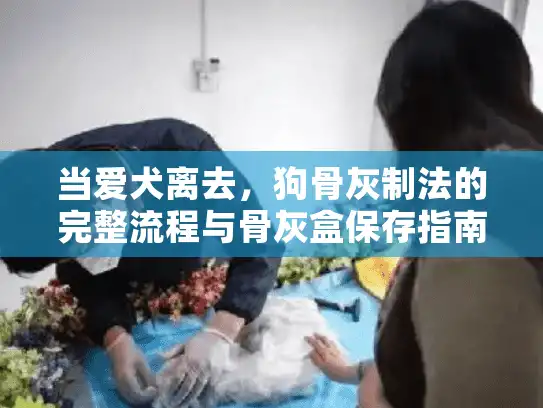 当爱犬离去，狗骨灰制法的完整流程与骨灰盒保存指南
