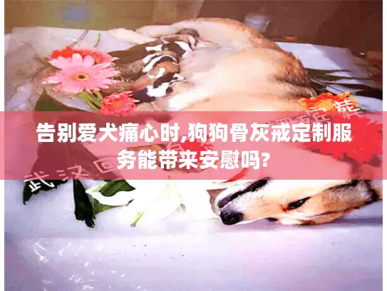 告别爱犬痛心时,狗狗骨灰戒定制服务能带来安慰吗?