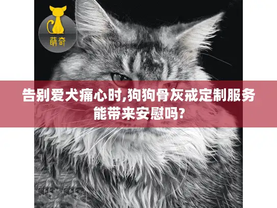 告别爱犬痛心时,狗狗骨灰戒定制服务能带来安慰吗?