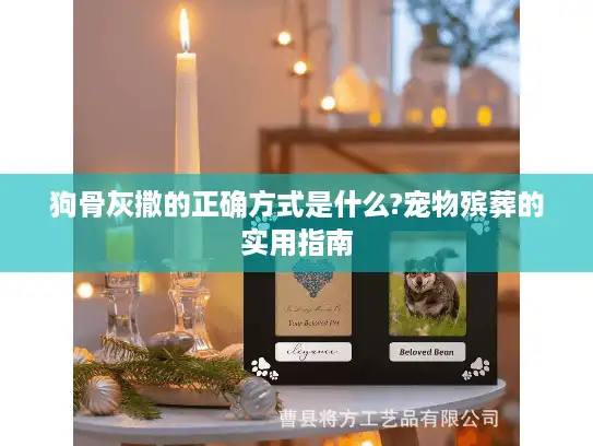 狗骨灰撒的正确方式是什么?宠物殡葬的实用指南