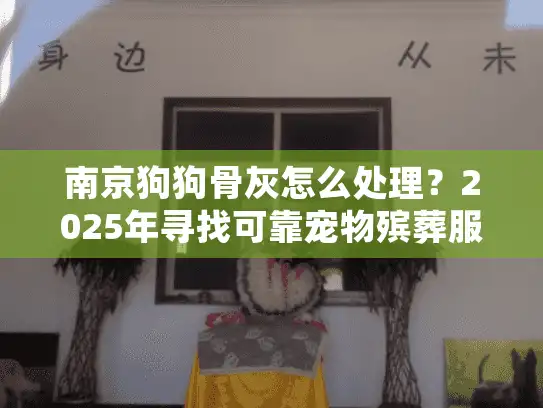 南京狗狗骨灰怎么处理？2025年寻找可靠宠物殡葬服务全攻略