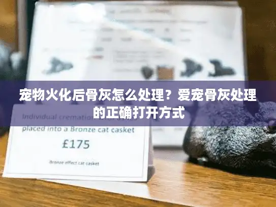 宠物火化后骨灰怎么处理？爱宠骨灰处理的正确打开方式
