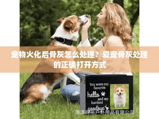 宠物火化后骨灰怎么处理？爱宠骨灰处理的正确打开方式