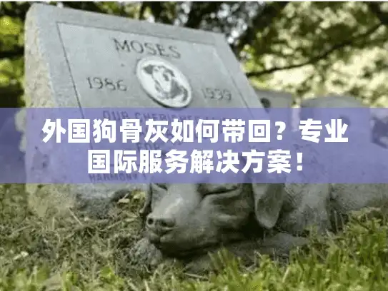 外国狗骨灰如何带回？专业国际服务解决方案！