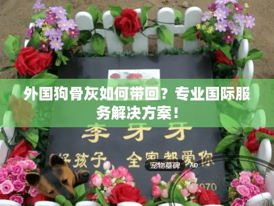 外国狗骨灰如何带回？专业国际服务解决方案！