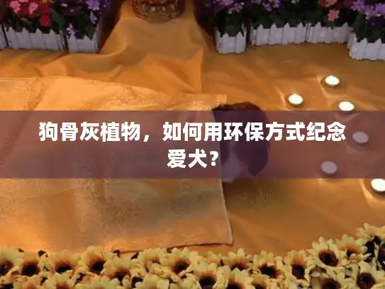 狗骨灰植物，如何用环保方式纪念爱犬？