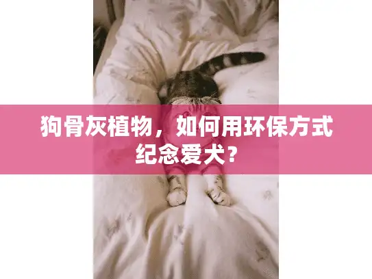 狗骨灰植物，如何用环保方式纪念爱犬？