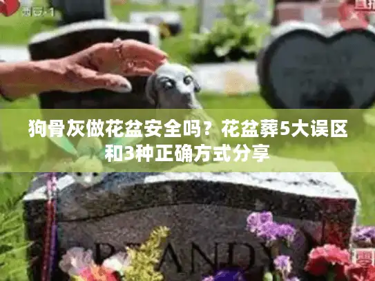 狗骨灰做花盆安全吗？花盆葬5大误区和3种正确方式分享