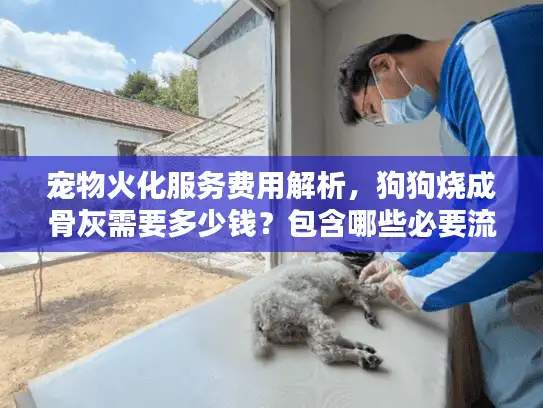 宠物火化服务费用解析，狗狗烧成骨灰需要多少钱？包含哪些必要流程？
