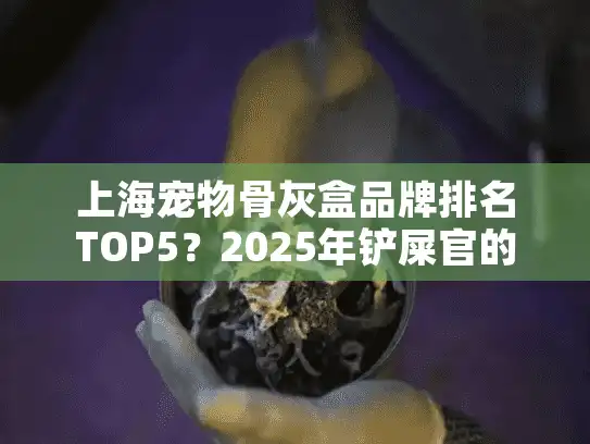 上海宠物骨灰盒品牌排名TOP5？2025年铲屎官的真实选择指南