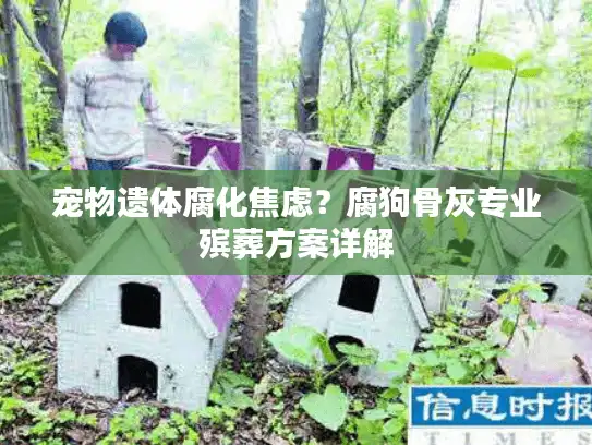 宠物遗体腐化焦虑？腐狗骨灰专业殡葬方案详解