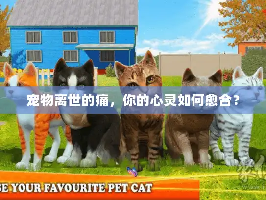 宠物离世的痛，你的心灵如何愈合？