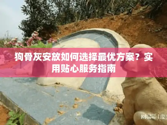 狗骨灰安放如何选择最优方案？实用贴心服务指南