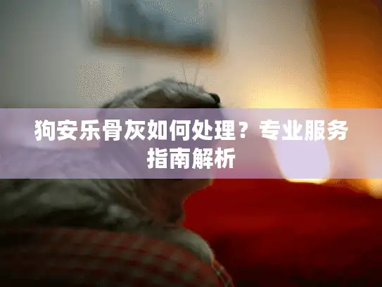狗安乐骨灰如何处理？专业服务指南解析