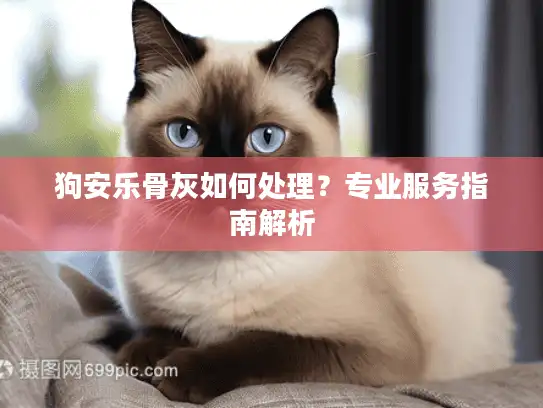 狗安乐骨灰如何处理？专业服务指南解析
