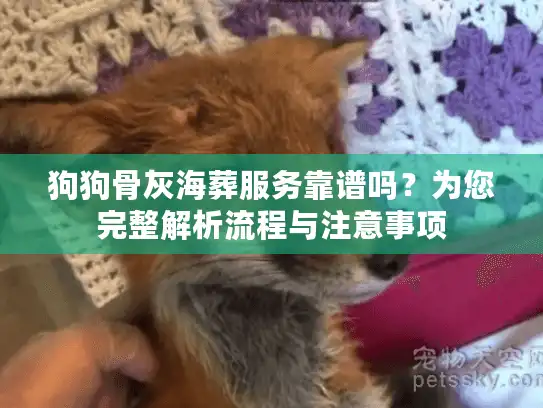 狗狗骨灰海葬服务靠谱吗？为您完整解析流程与注意事项