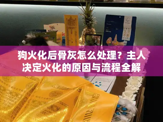狗火化后骨灰怎么处理？主人决定火化的原因与流程全解