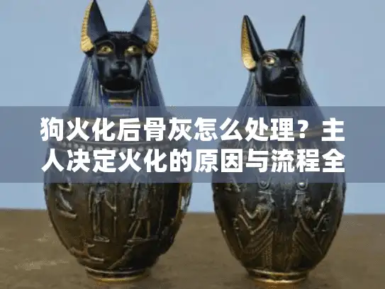 狗火化后骨灰怎么处理？主人决定火化的原因与流程全解