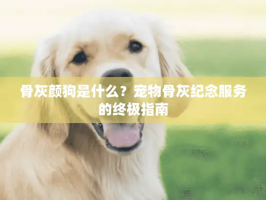骨灰颜狗是什么？宠物骨灰纪念服务的终极指南