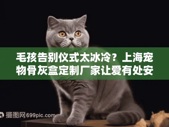 毛孩告别仪式太冰冷？上海宠物骨灰盒定制厂家让爱有处安放