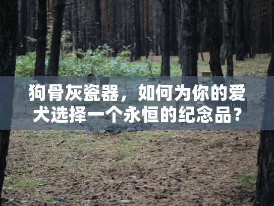 狗骨灰瓷器，如何为你的爱犬选择一个永恒的纪念品？