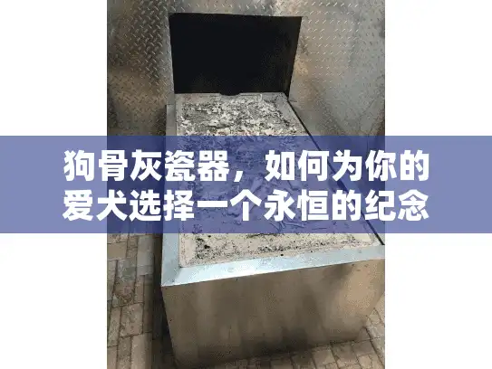 狗骨灰瓷器，如何为你的爱犬选择一个永恒的纪念品？