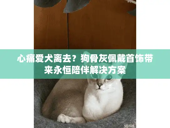 心痛爱犬离去？狗骨灰佩戴首饰带来永恒陪伴解决方案