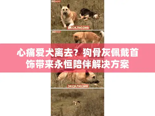 心痛爱犬离去？狗骨灰佩戴首饰带来永恒陪伴解决方案