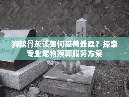 狗粮骨灰该如何妥善处理？探索专业宠物殡葬服务方案