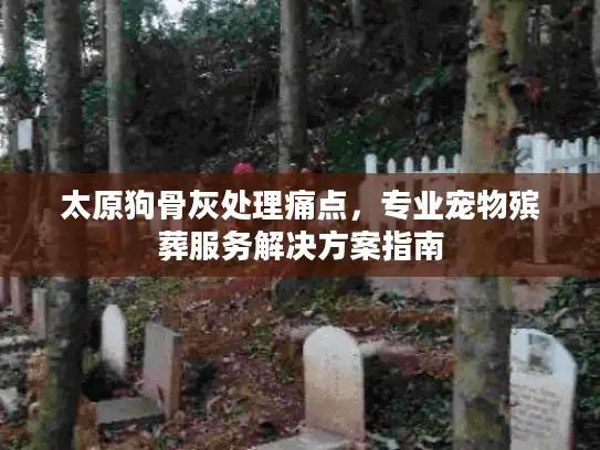太原狗骨灰处理痛点，专业宠物殡葬服务解决方案指南